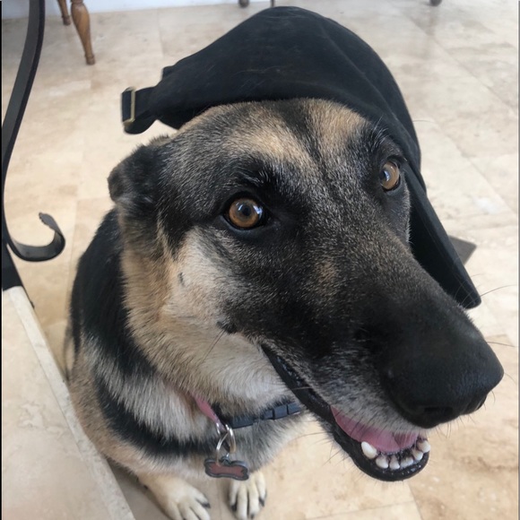 torita11